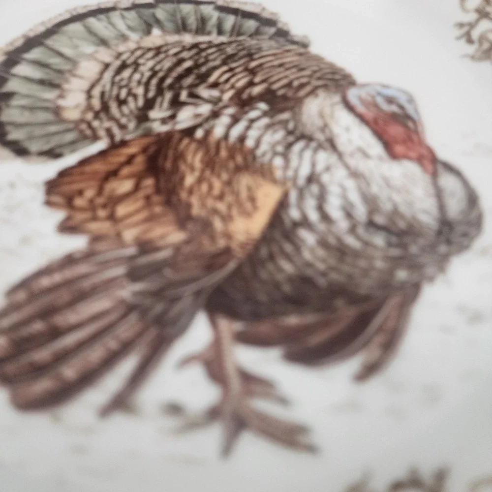 2-Williams Sonoma Plymouth Turkey Dinner Plate 10 1/2